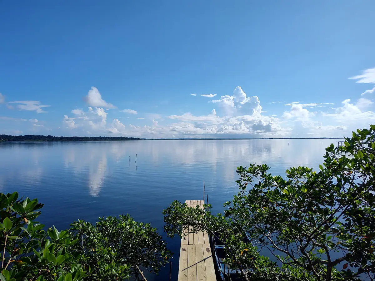 Calm bay reflecting clouds, seen from a forested hill