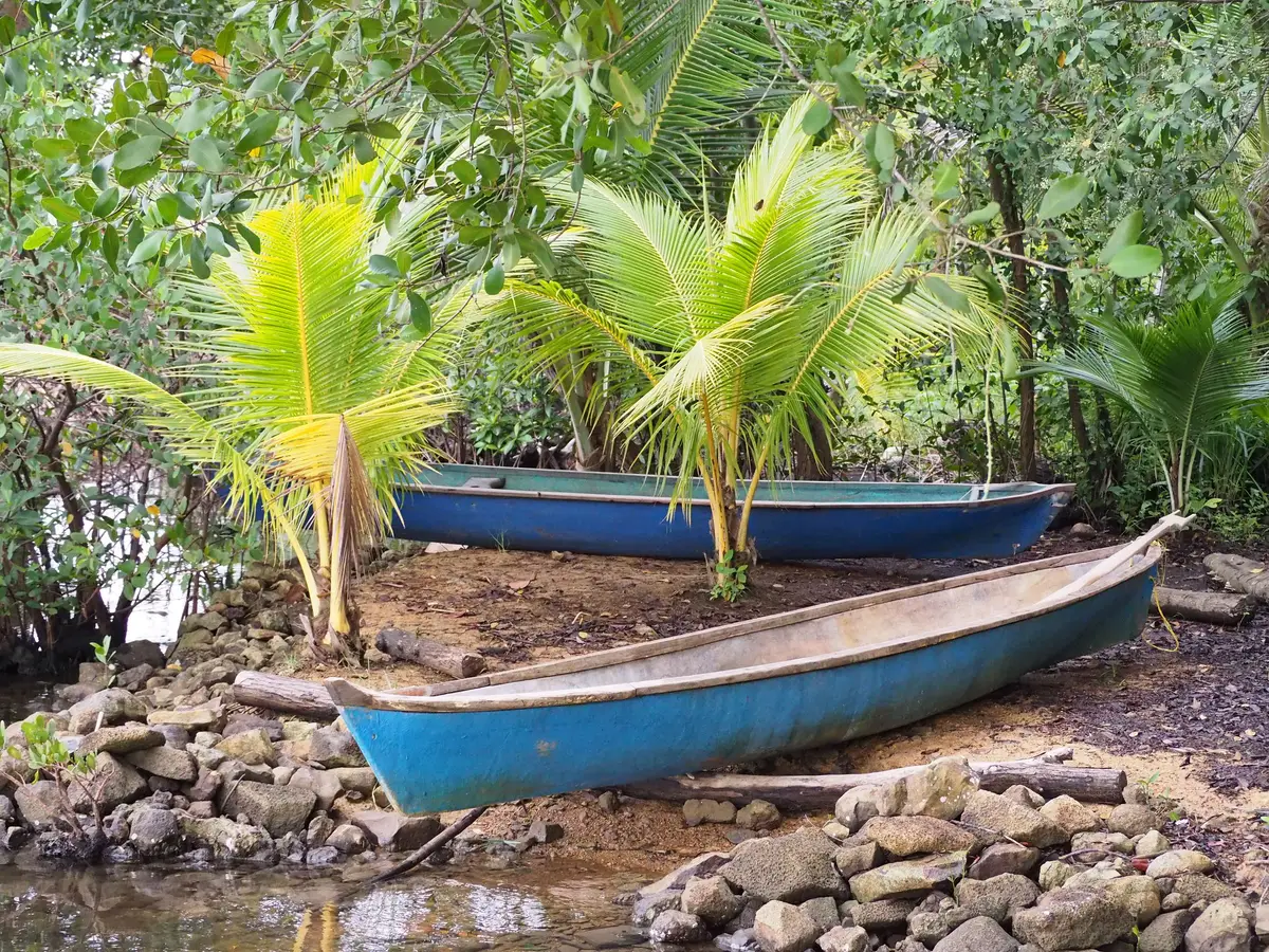 Two blue dugout canoes pulled up on a rocky shore under palms