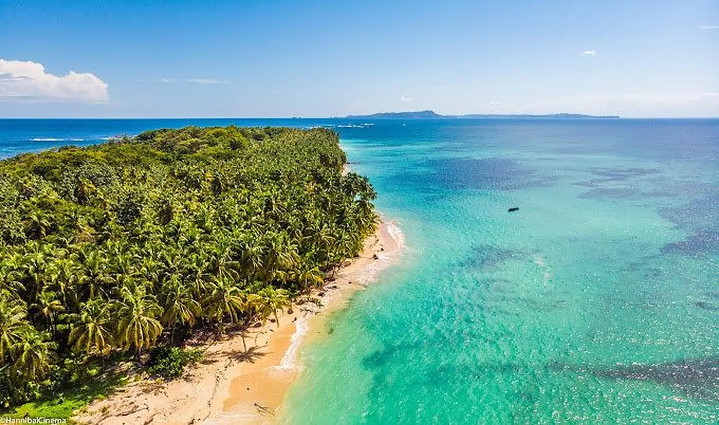 Aerial view of a palm-covered cay with turquoise reef