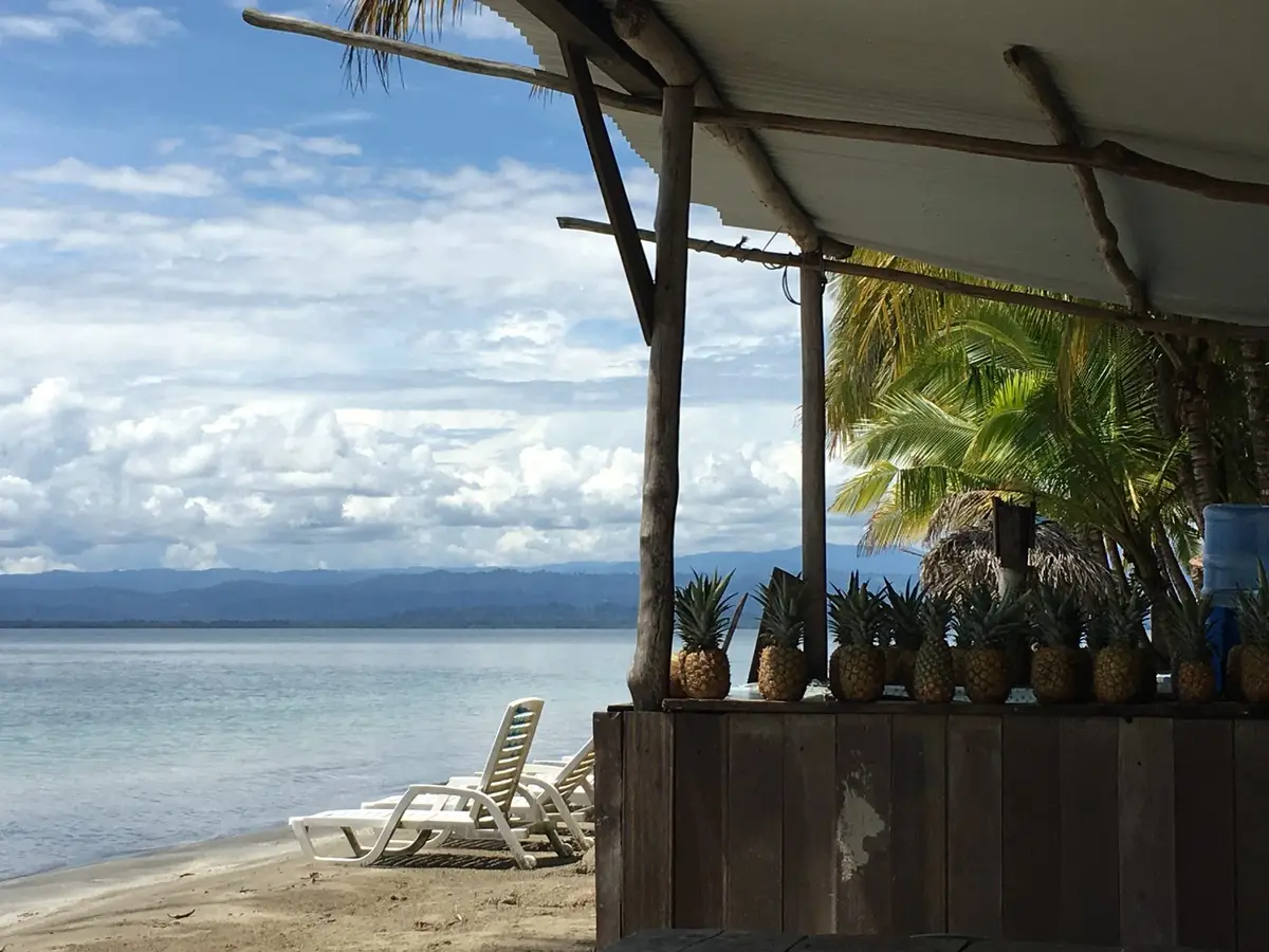 Thatched beach bar looking out over calm Starfish Beach